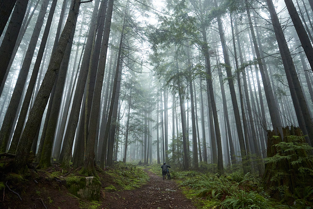 mystic scenery - guy pulling up his bike in a foggy forest